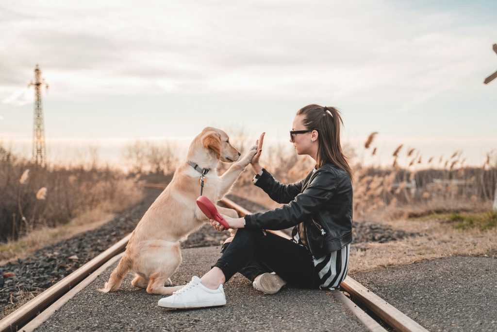 The Holistic Benefits of Owning a Dog: How Mans Best Friend Boosts Your Health and Happiness