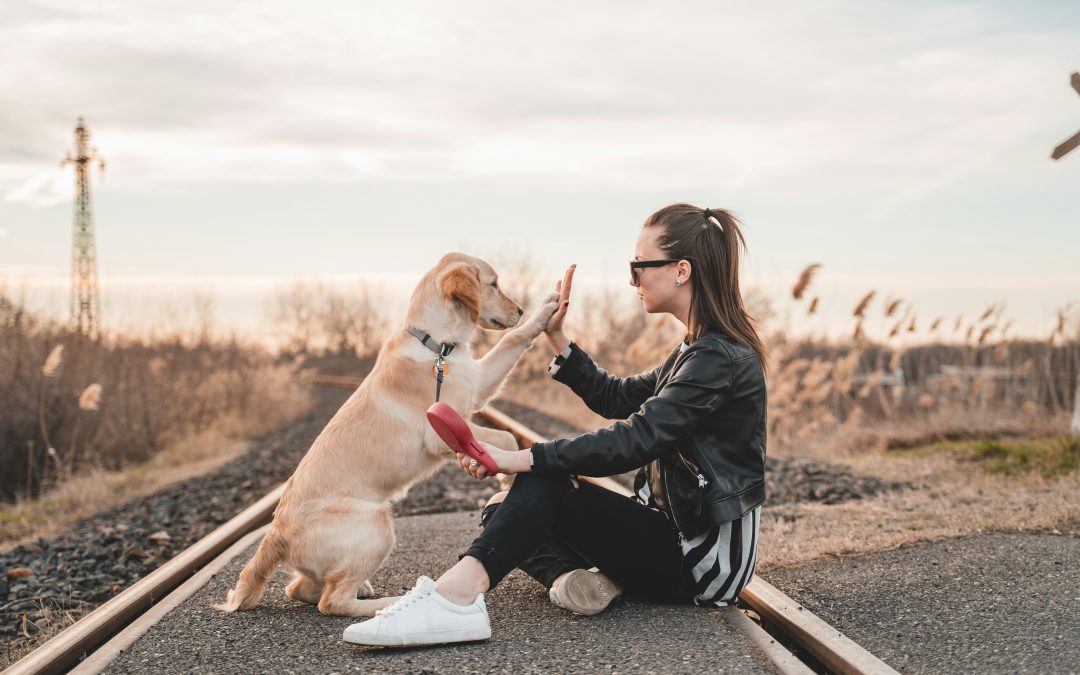 The Holistic Benefits of Owning a Dog: How Mans Best Friend Boosts Your Health and Happiness