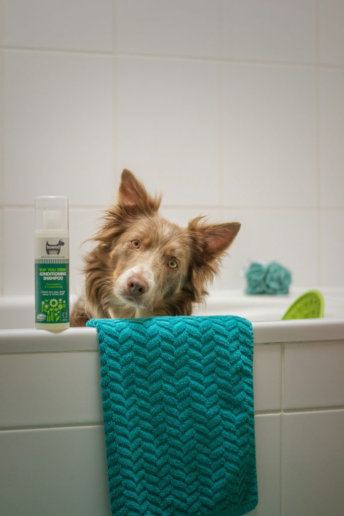 Promoting Pet Wellness: Unveiling the Magic of Dog Shampoo Ingredients