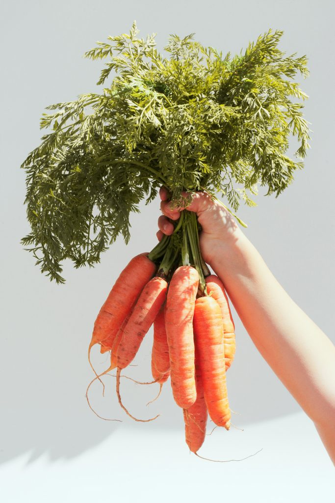 Enhancing Your Dogs Health with Nutrient-Rich Vegetables