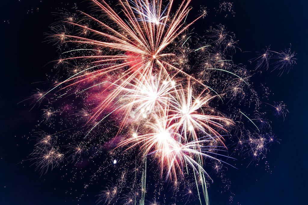 Keeping Pets Safe: A Guide to Managing Fireworks Anxiety