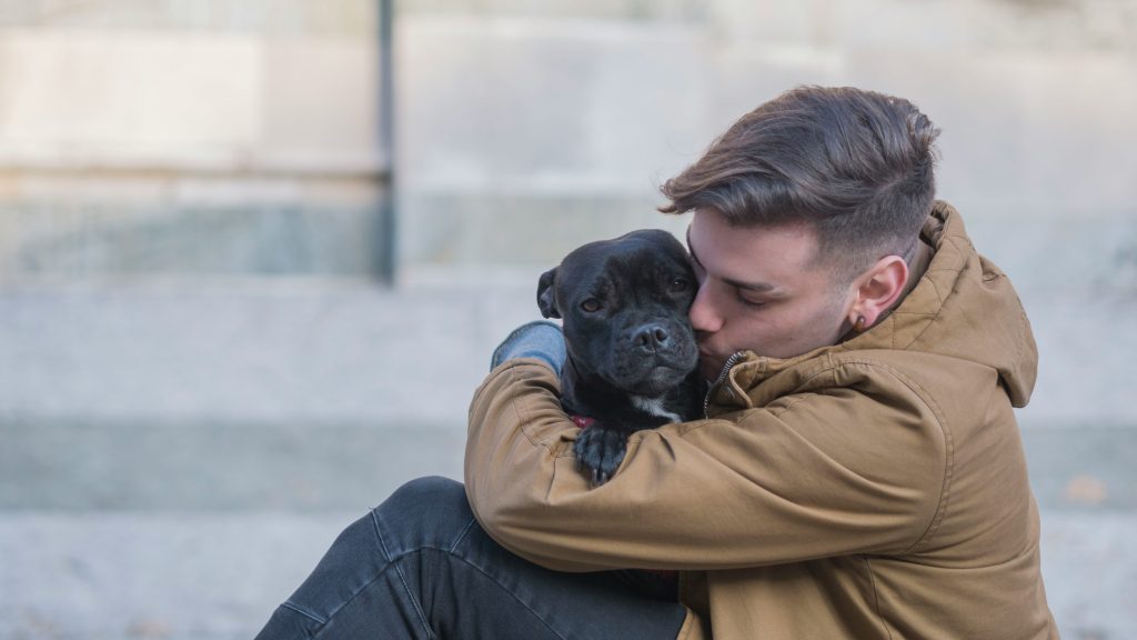 Decoding Dog Body Language: A Safe Guide for Approaching Your Furry Friends