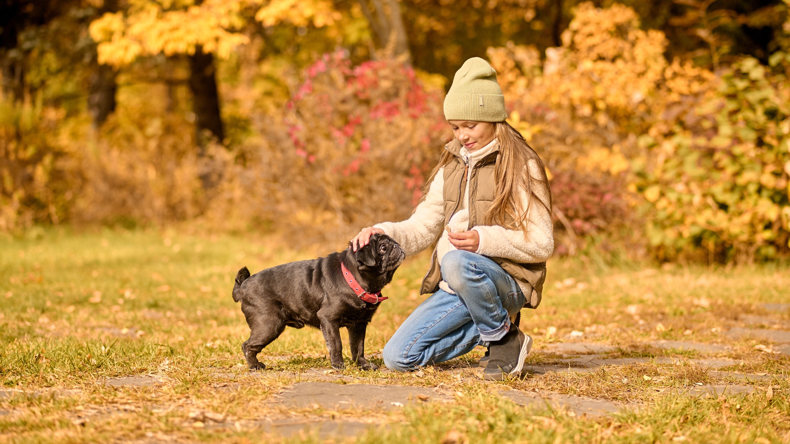 First Thanksgiving with Your Dog