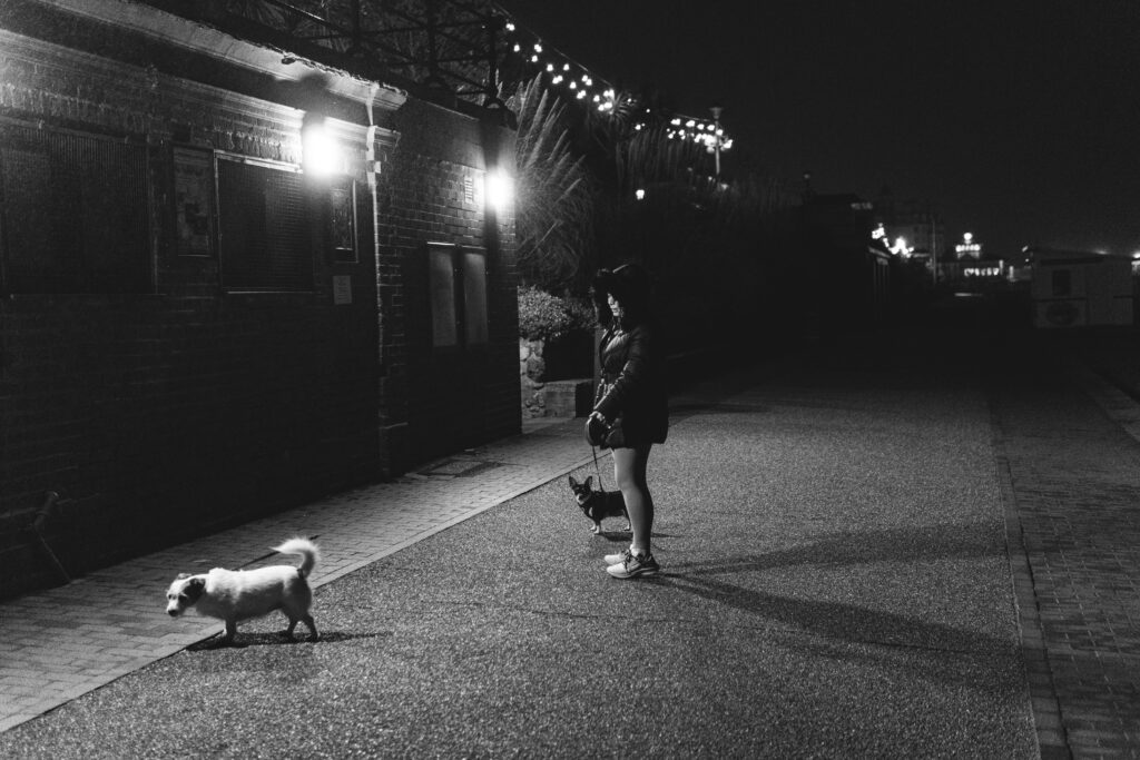 How Daily Walks Provide Mental Stimulation for Your Pup