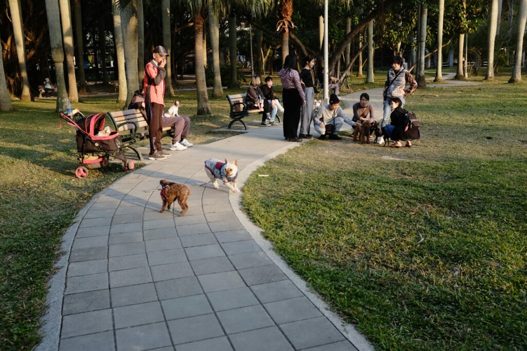 A Guide to Some of the Top Dog Parks in Saratoga!