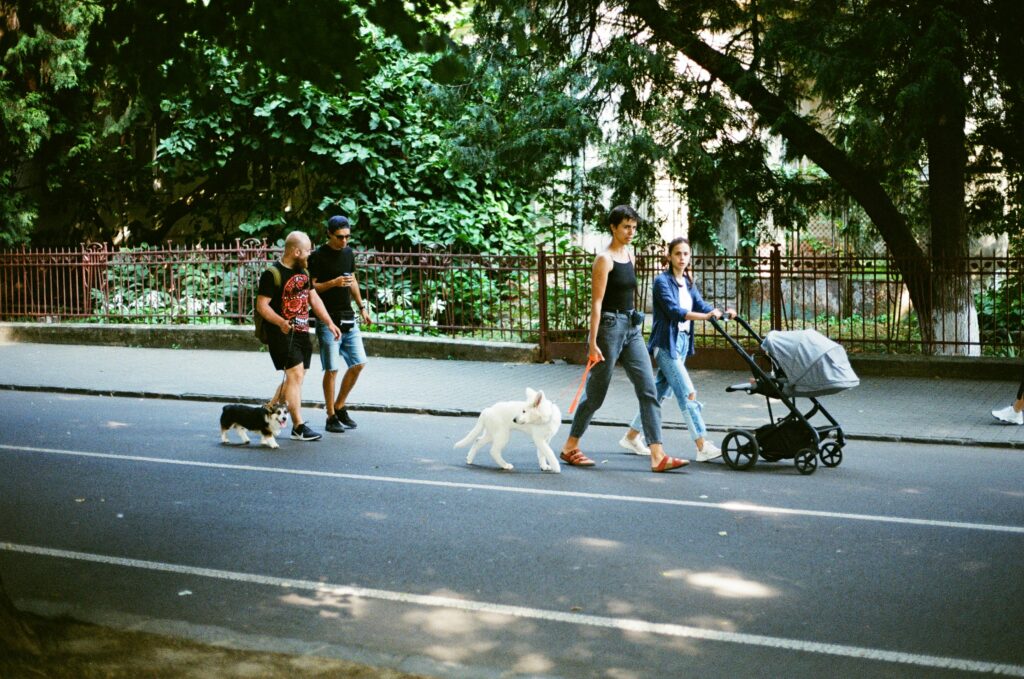 How to Prepare for Your First Pack Walk