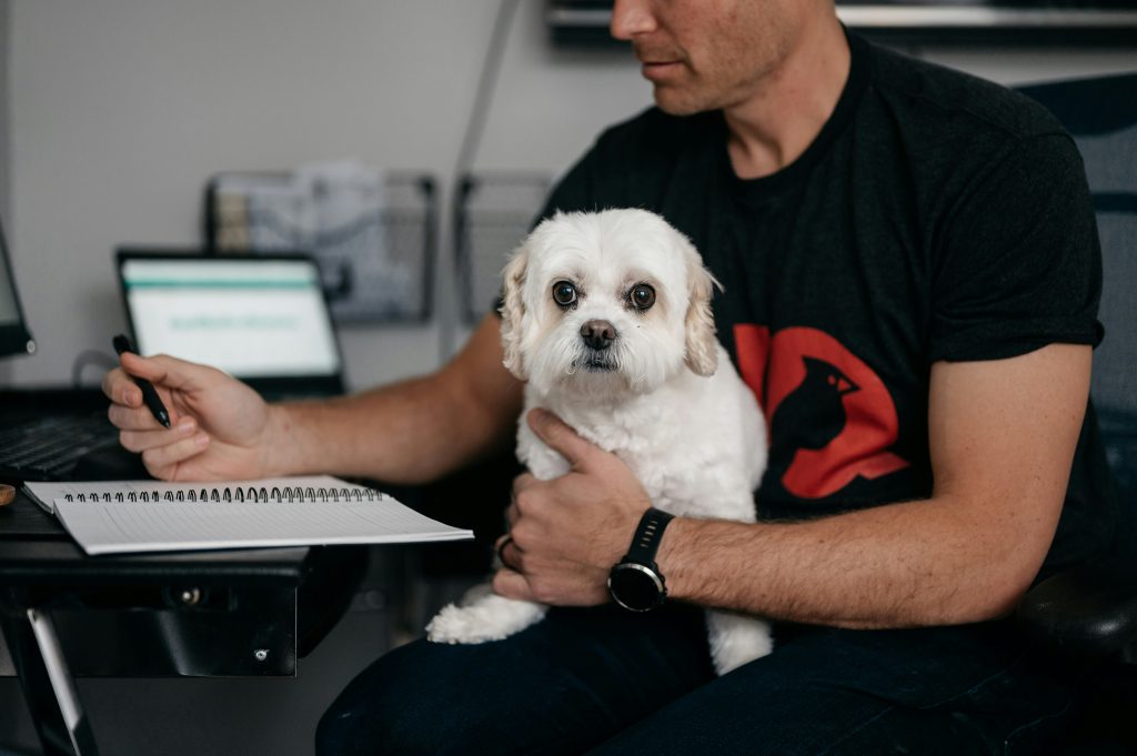 How Dogs Reduce Workplace Stress