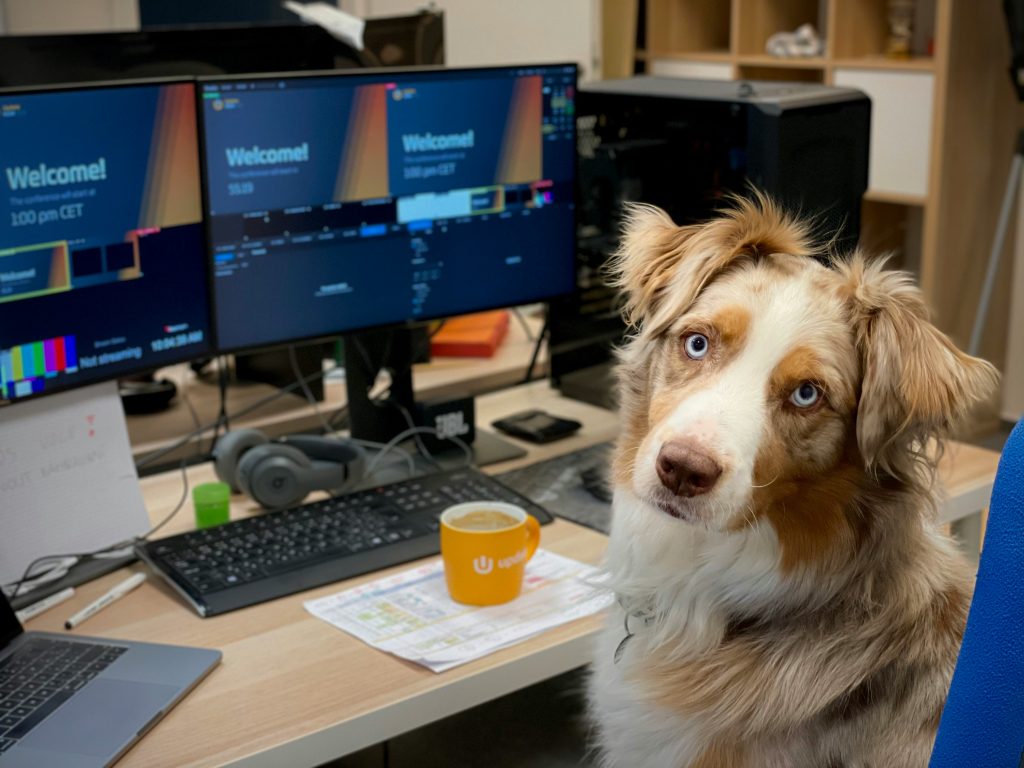 How Dogs Reduce Workplace Stress