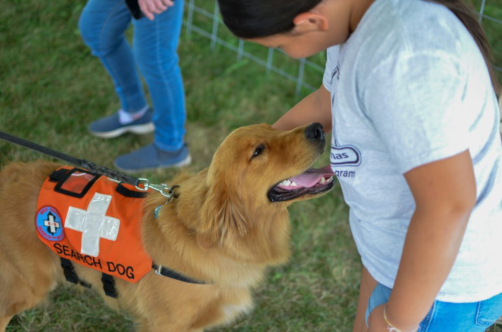 How to Volunteer With Dogs in Saratoga, NY