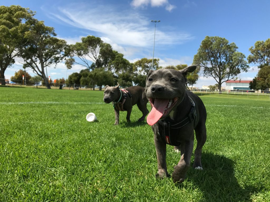 Preventing Heat Stroke During Summer Walks