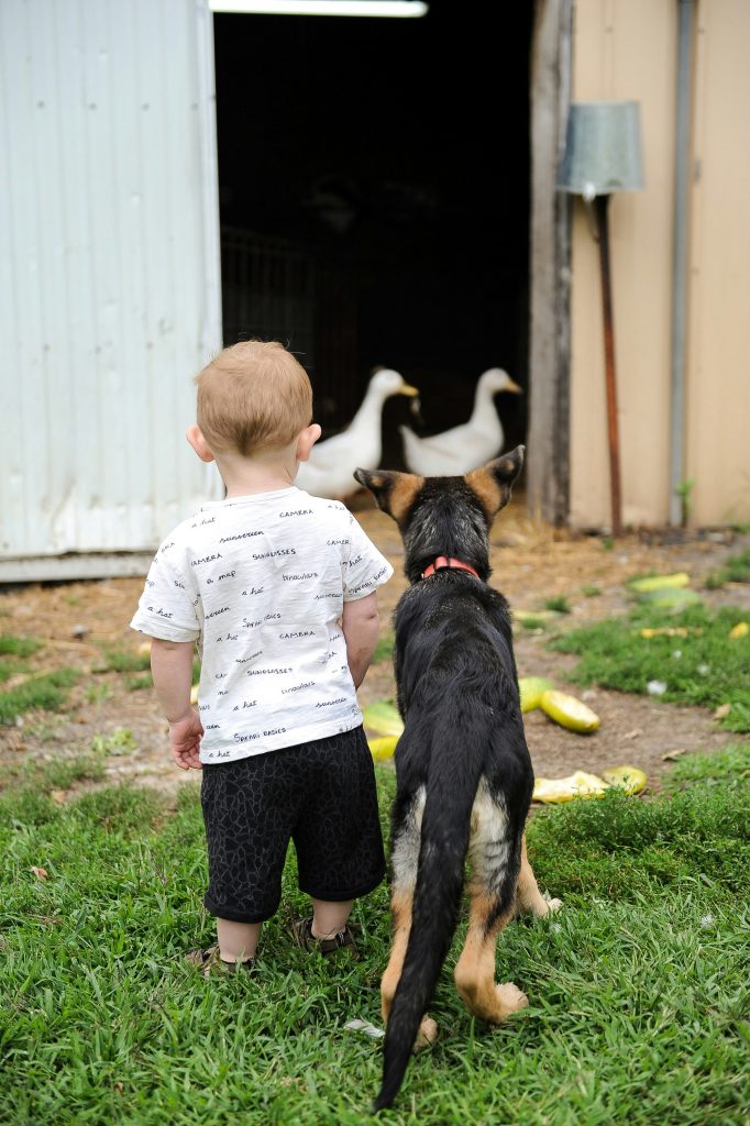 Built-In Best Friends: The Bond Between Dogs and Kids