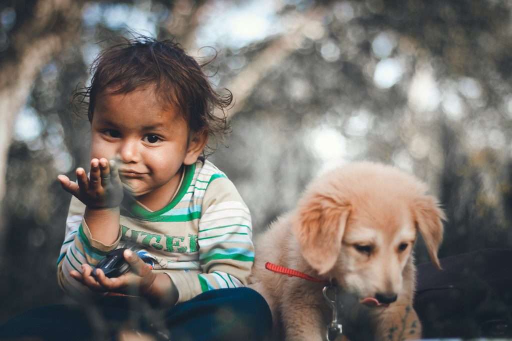 Built-In Best Friends: The Bond Between Dogs and Kids