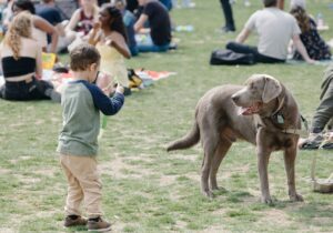 Why Early Socialization Sets Dogs Up for Success