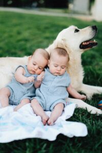 Preparing Your Dog for a New Baby