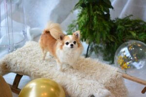 My Resolution for Healthier Daily Routines