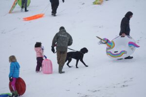 Dog-Friendly Winter Events in Saratoga, NY