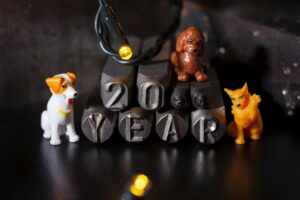 My Resolution for Healthier Daily Routines