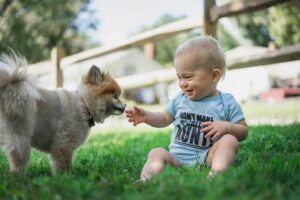 Preparing Your Dog for a New Baby